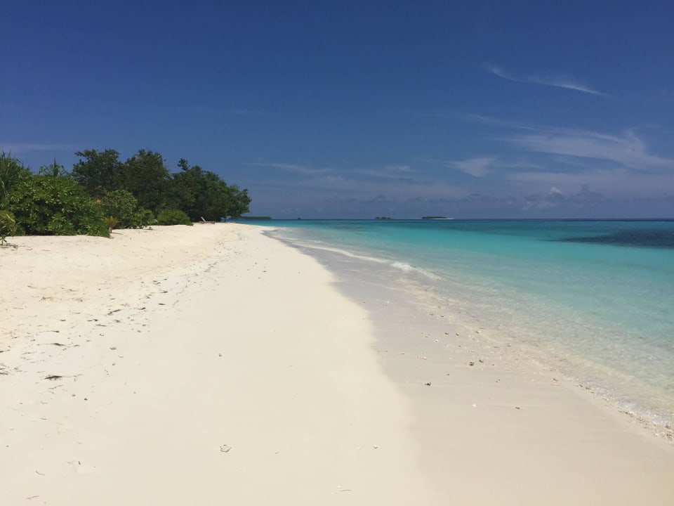 Feinster Sandstrand Kuredu Island Resort & Spa