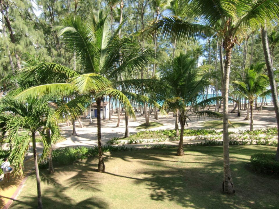 Blick vom Balkon Vista Sol Punta Cana
