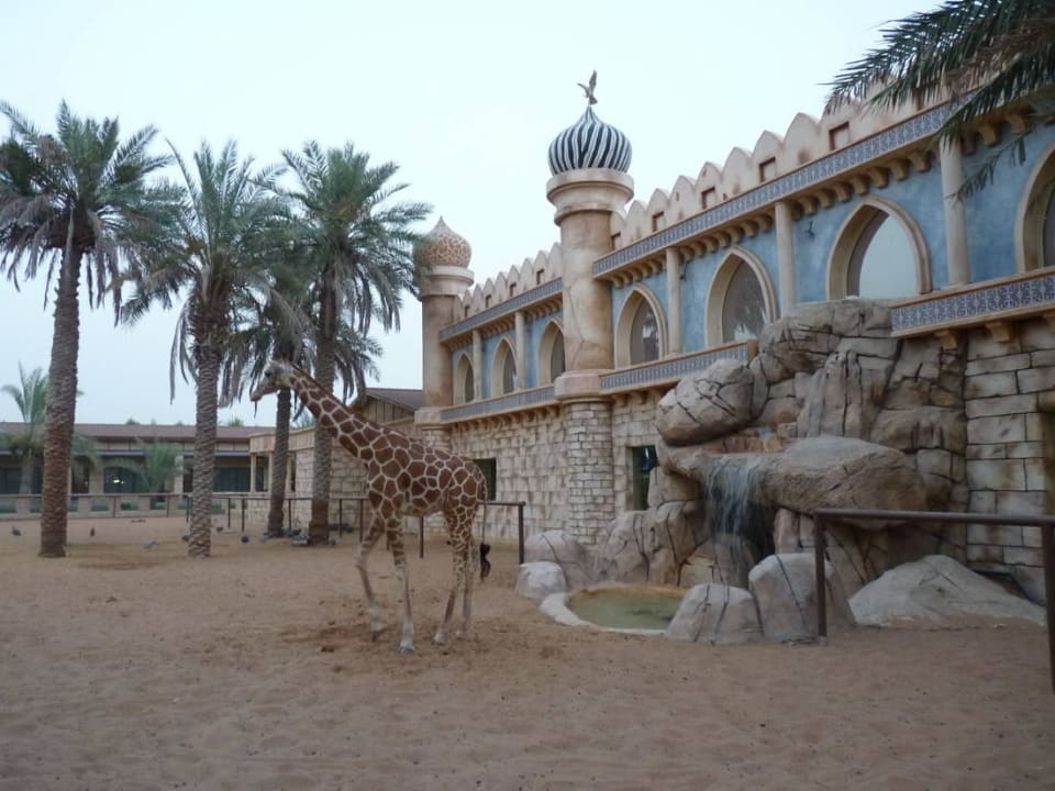 Зоопарк внутри отеля Hotel Emirates Park Resort