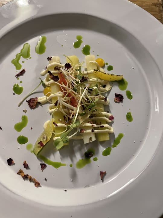 Gastro Acanthus Cennet Barut Collection