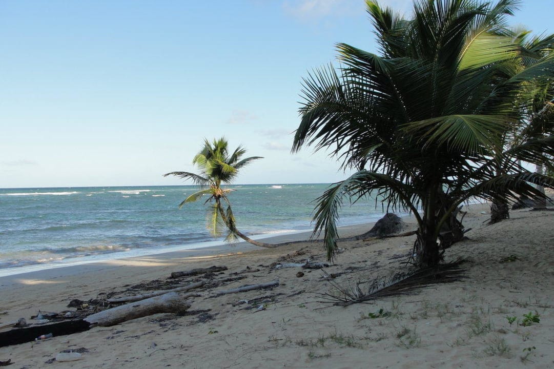 Strand Grand Sirenis Punta Cana Resort & Aquagames