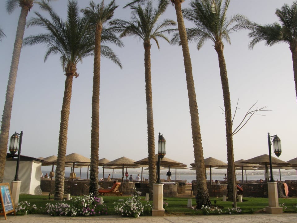 Z promenády Makadi Spa - Adults only