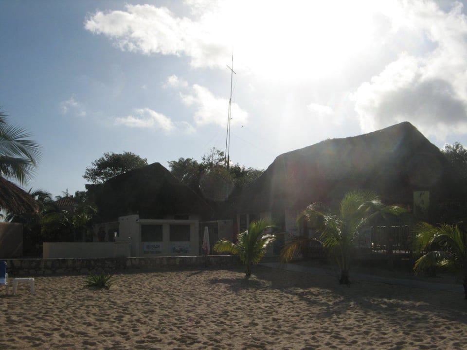 "Tauchschule Pro Dive Mexi..." Hotel Allegro Cozumel (San Miguel de