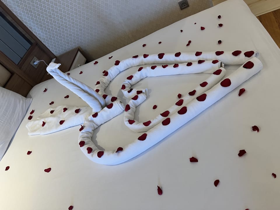 Zimmer Oz Hotels Sui Resort