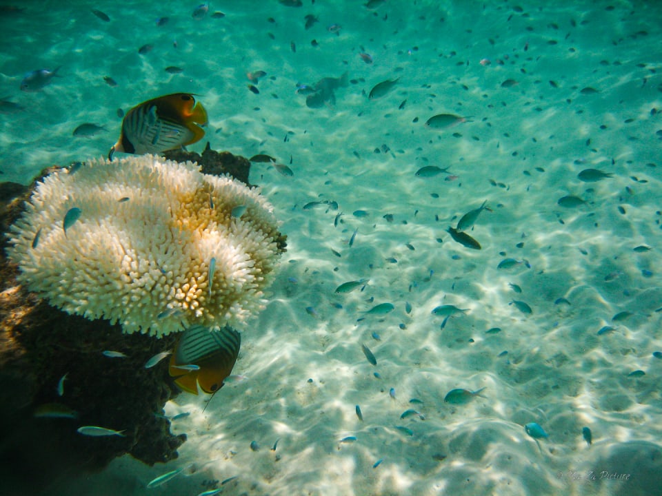 Sport & Freizeit Summer Island Maldives