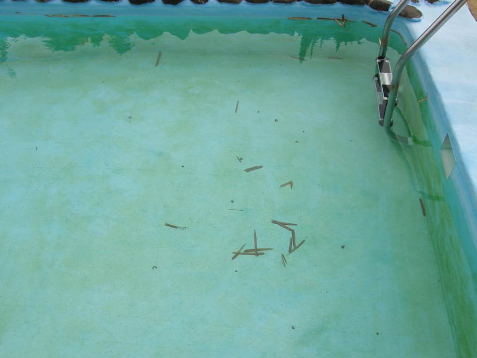 Einladung zum Schwimmen Bungalows La Caldereta