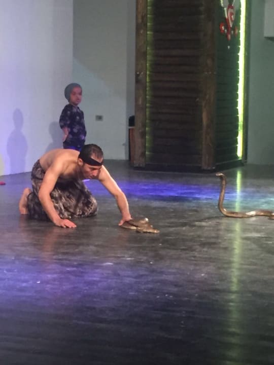 Cobra Show Pickalbatros Aqua Park Resort - Hurghada