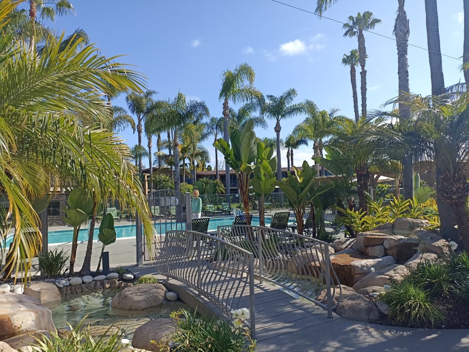 Pool DoubleTree by Hilton San Diego Bayside