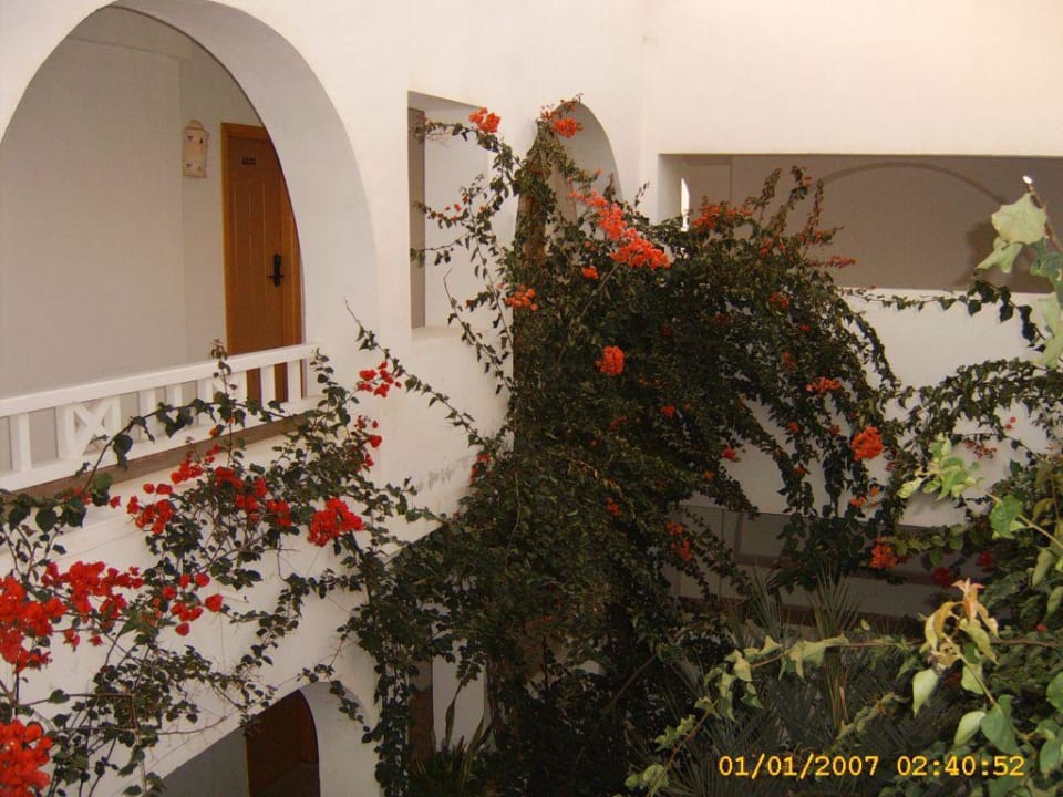 Innenhof Haus 3 Hotel Djerba Resort