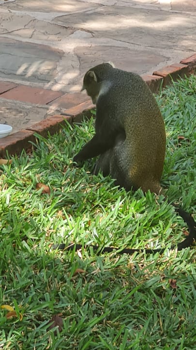 Sonstiges Baobab Beach Resort & Spa