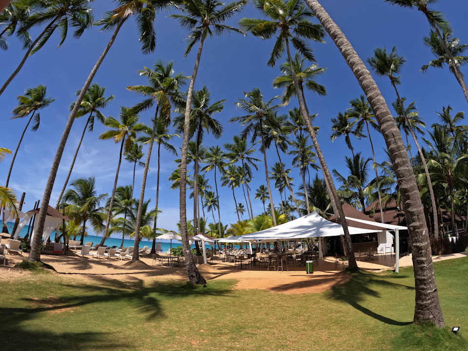 Pool Viva V Samana by Wyndham – Adults Only