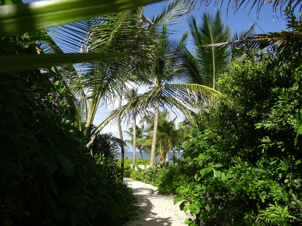 Strand Catalonia Playa Maroma