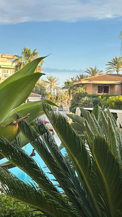 Ausblick Iberostar Selection Playa de Palma