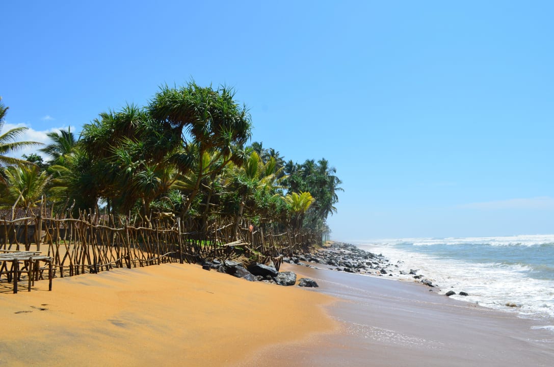 Strand vor dem Hotel Siddhalepa Ayurveda Health Resort