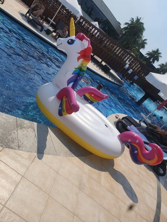 Pool Sherwood Dreams Resort