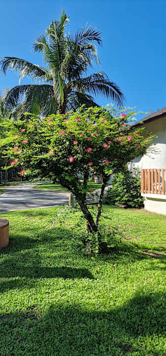 Gartenanlage Mai Khao Lak Beach Resort & Spa (TUI BLUE Mai Khaolak)