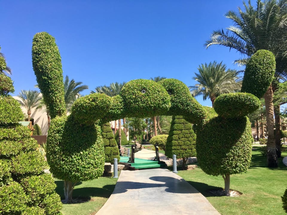 Gartenanlage Jaz Makadina