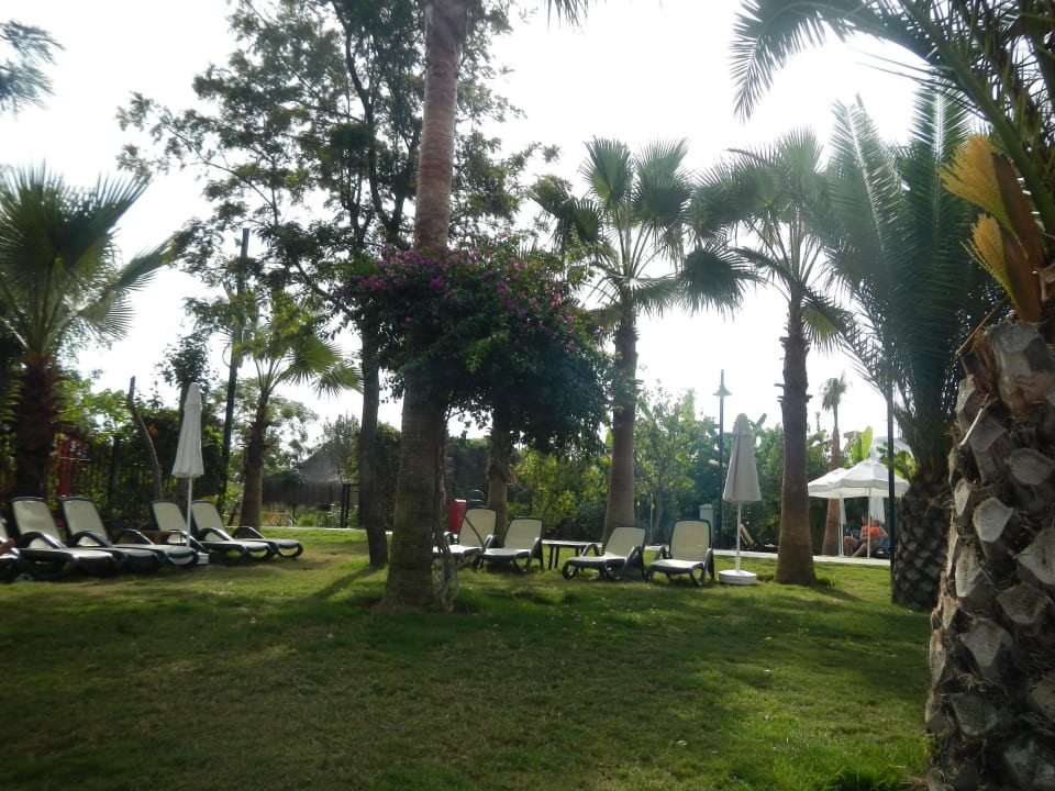 Schöne grüne Relaxzonen Belek Beach Resort Hotel