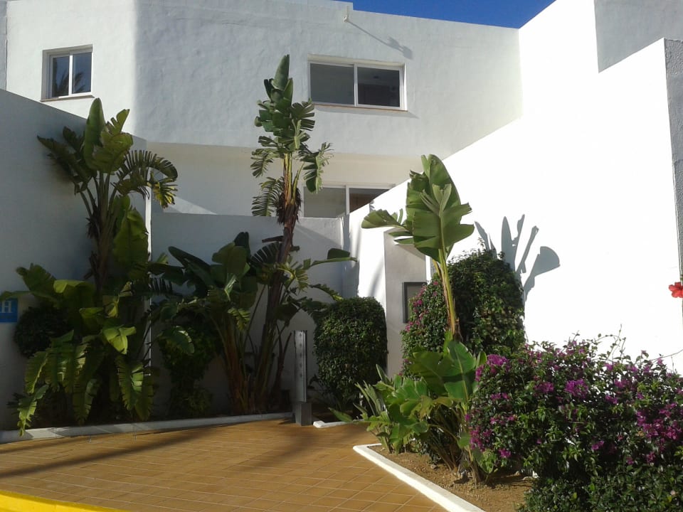 Schön Hotel Riu Palace La Mola