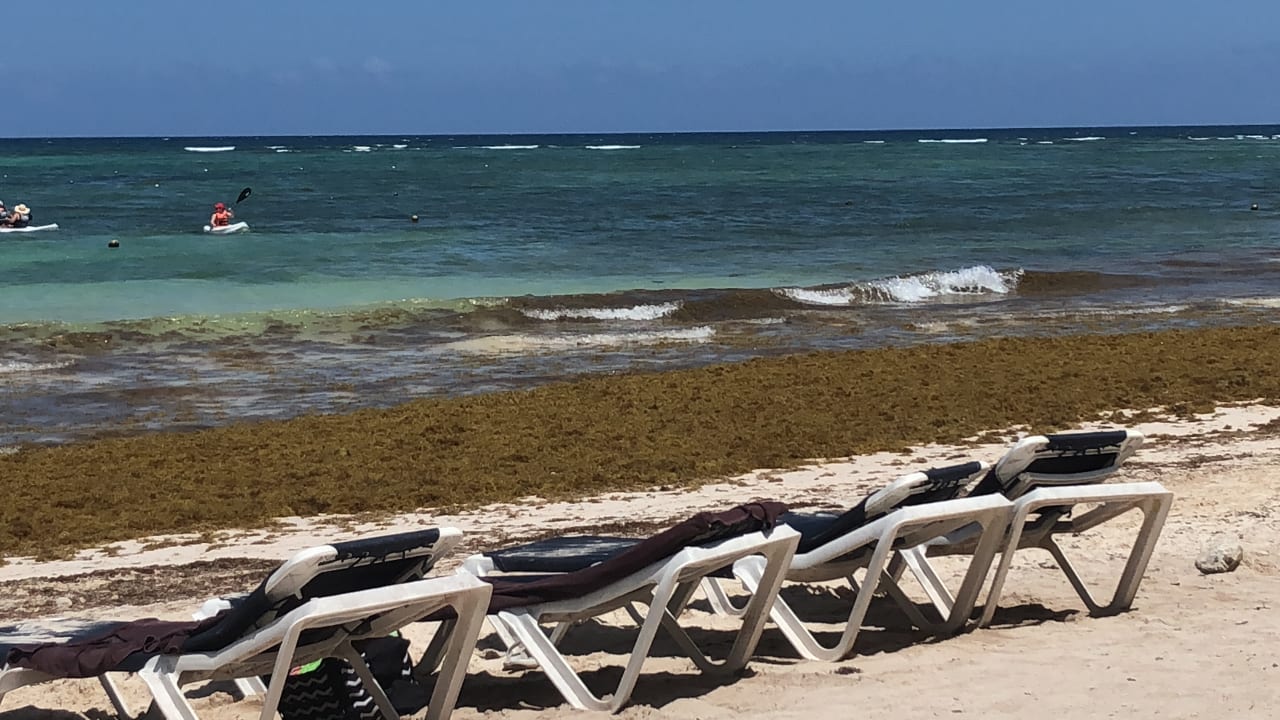 Strand Grand Palladium Kantenah Resort & Spa