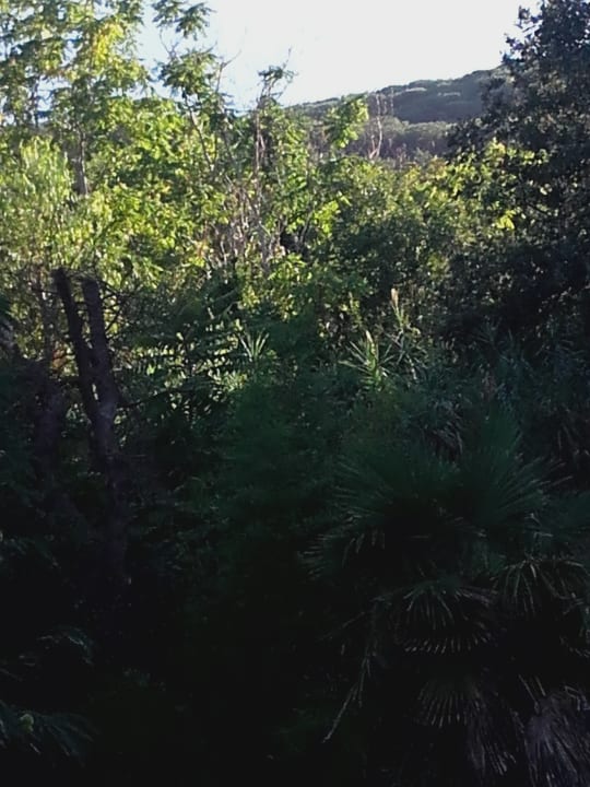 Ausblick Hotel L'Oasi Parco Castiglione