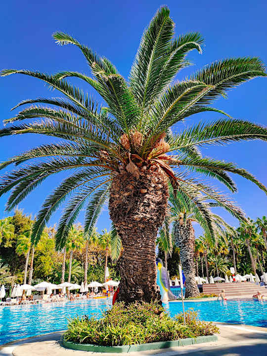 Pool Botanik Hotel & Resort