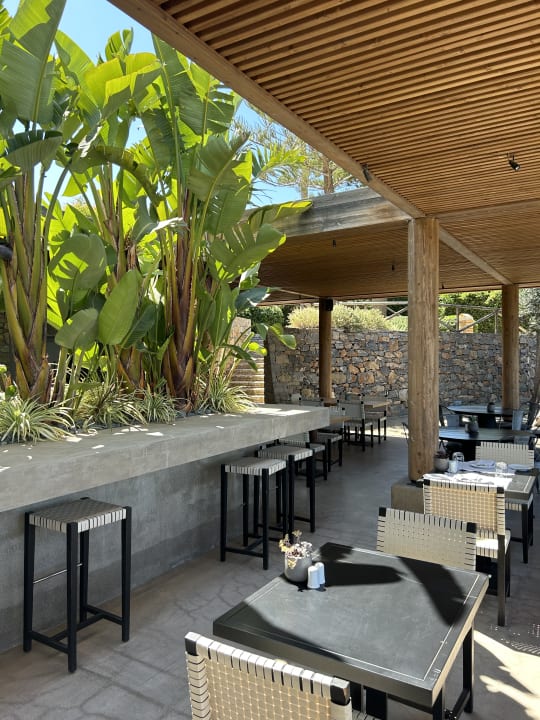 Gastro Minos Palace Resort - Adults only