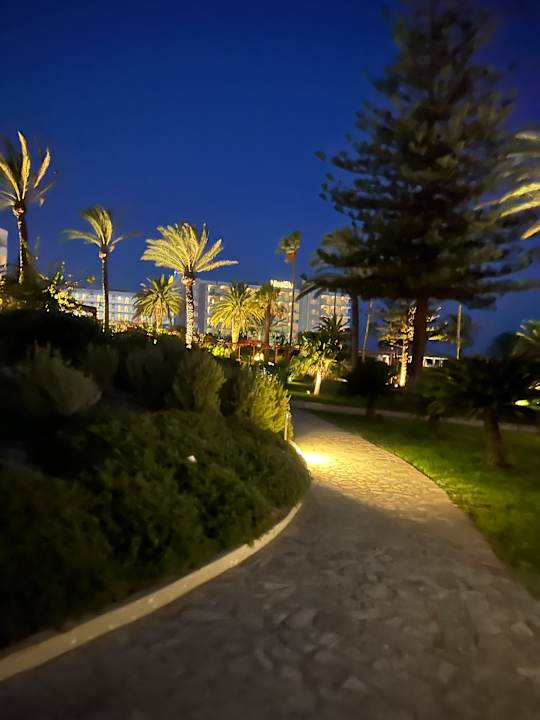 Gartenanlage Hotel Nissi Beach Resort