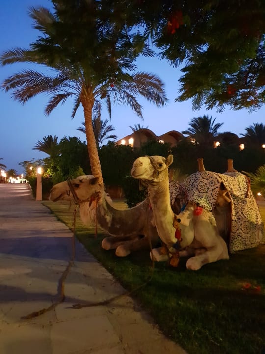 Sonstiges Gemma Resort