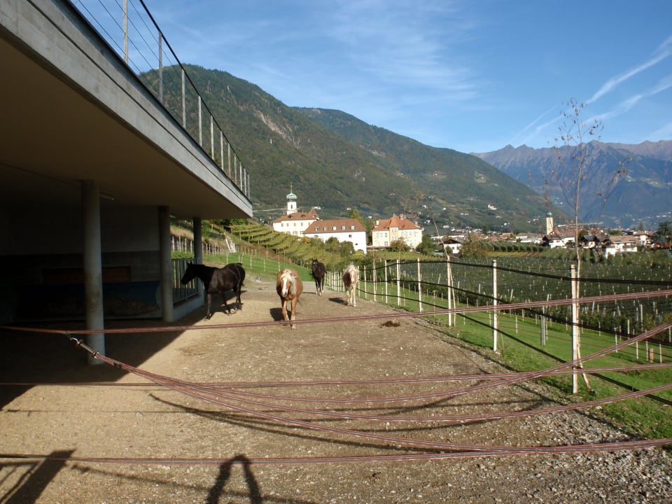 Pferdestall mit Blick zum Kloster Garni Hotel Katzenthalerhof