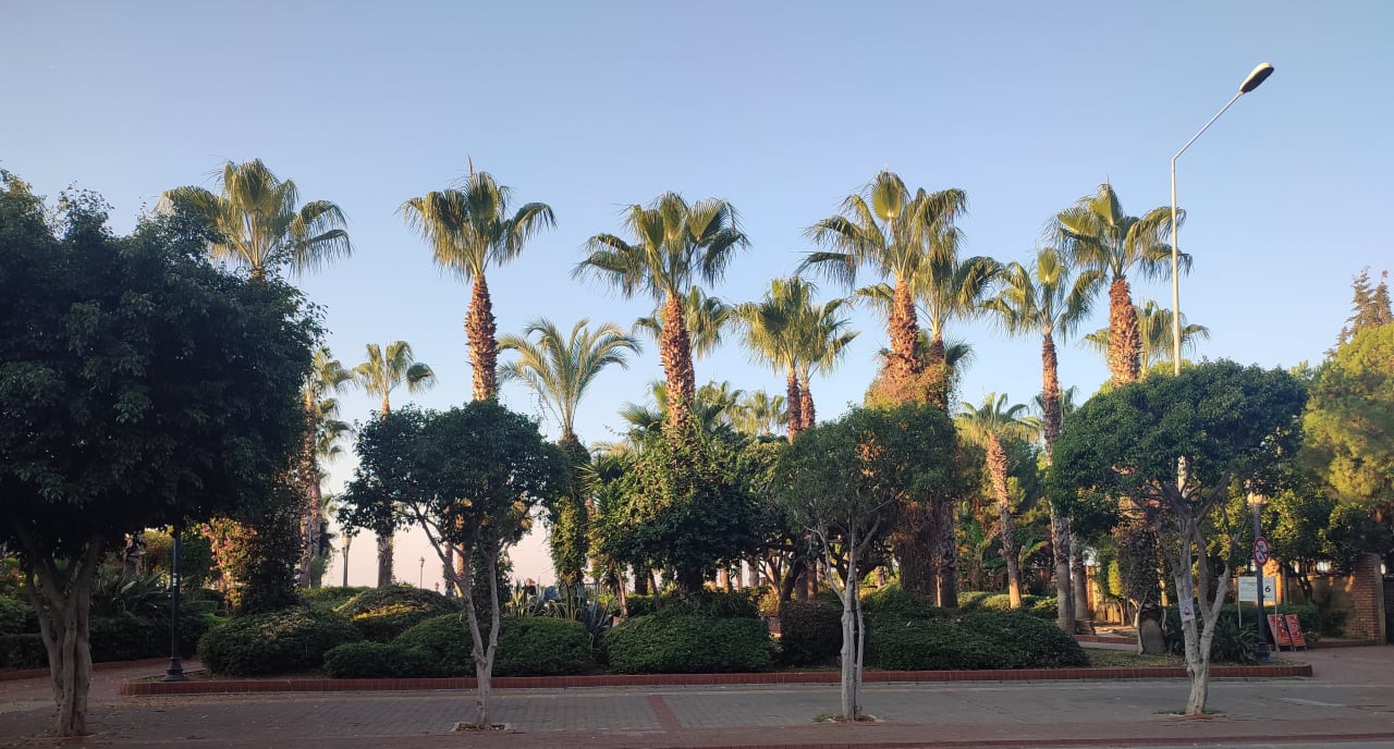 Gartenanlage Gardenia Hotel