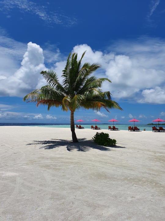 Strand Sun Siyam Vilu Reef