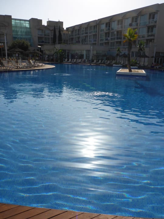 Pool Hotel Zafiro Alzinar Mar
