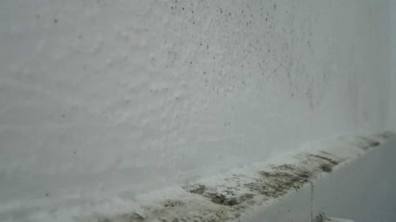 Bad, Schimmel  Captain's Apartments Barbati