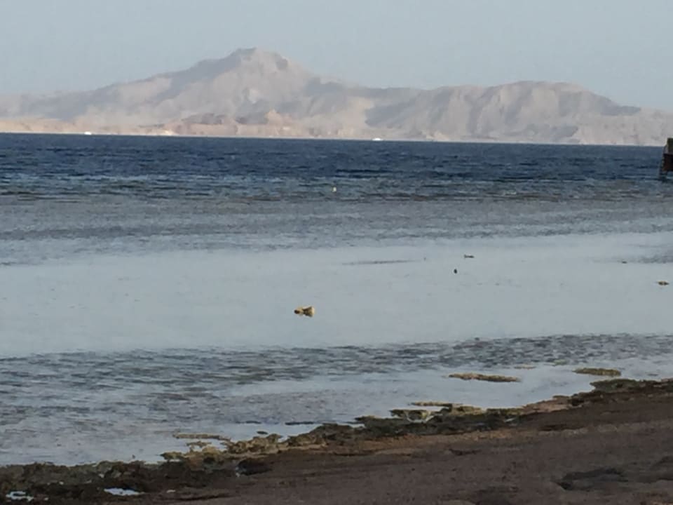 Strand Sharm Grand Plaza Resort