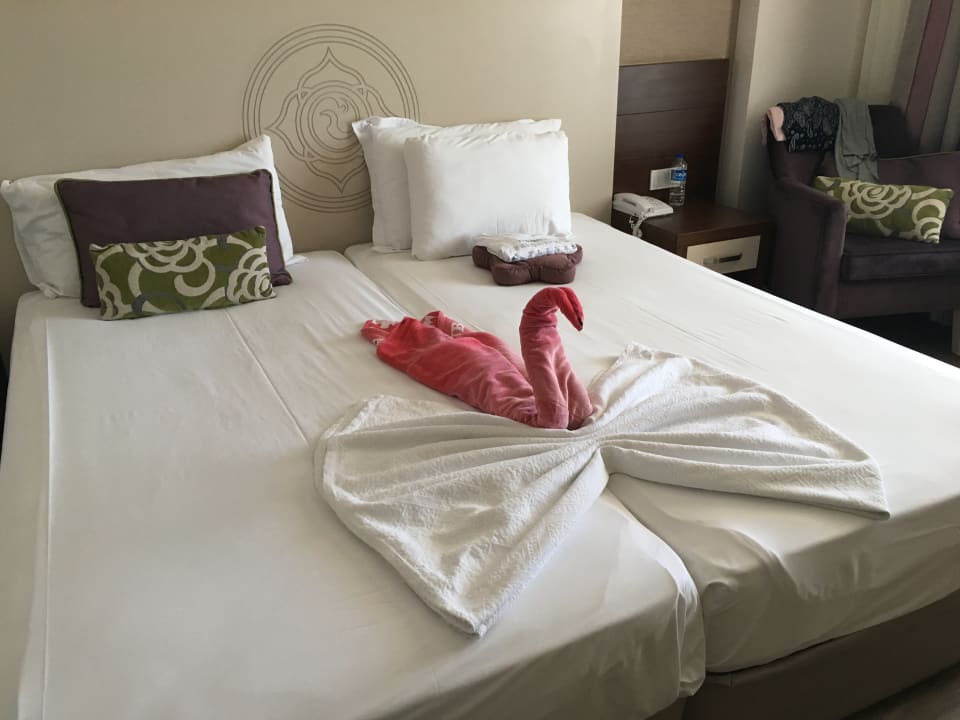 Zimmer Side Alegria Hotel & Spa - Adults only +16