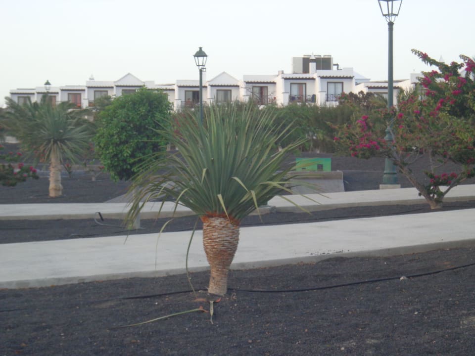 Auf das Gebäude Tenerifa allsun App.-Hotel Albatros