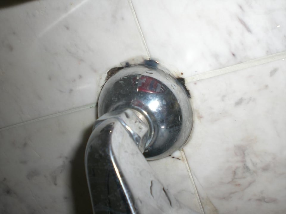 Schimmel Pearl Beach