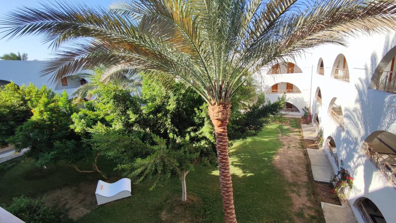 Gartenanlage Desert Rose