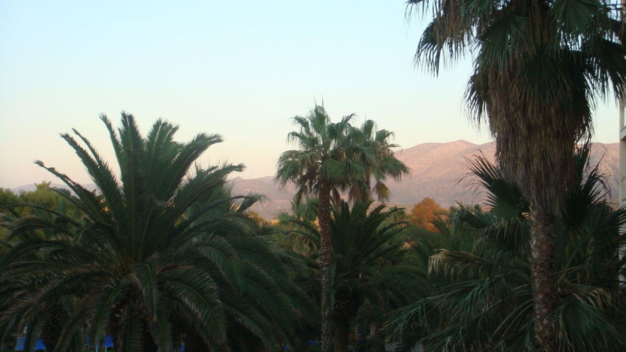 Blick auf die Berge vom Zimmer Calimera Sirens Beach