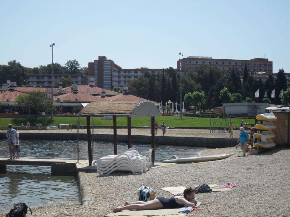 Ansicht vom Strand aus gesehen Hotel Albatros Plava Laguna