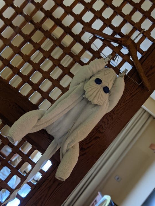 Zimmer Grand Waterworld Makadi & Family Star Makadi