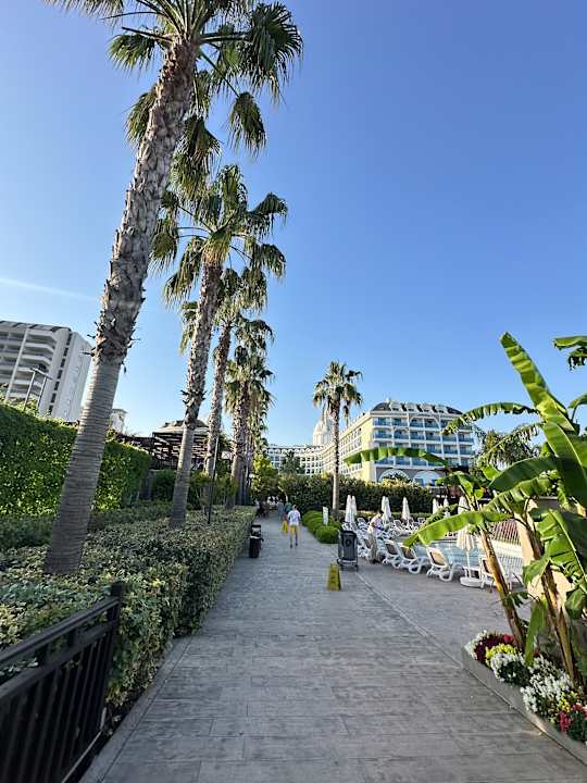 Außenansicht Adalya Elite Lara