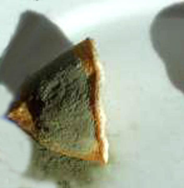 Erster Blick in den Kühlschrank Villa Garuti Residence