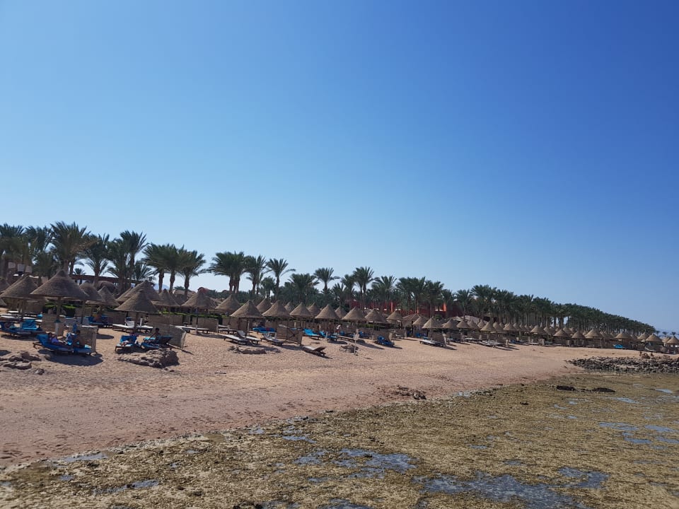 Strand Sharm Grand Plaza Resort