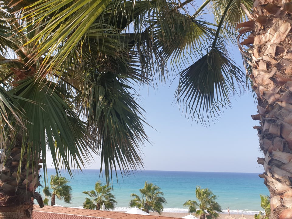 Ausblick Adora Calma Beach Hotel