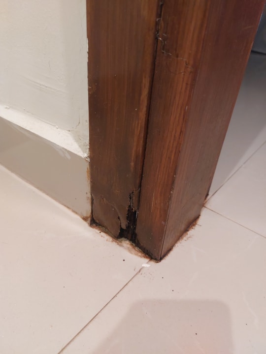 Zimmer Sunshine Rhodes