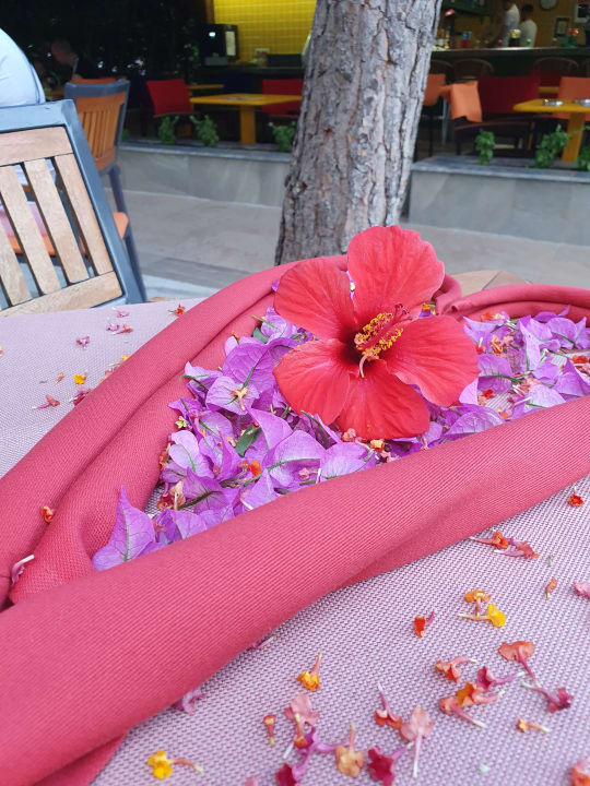 Gastro Hane Family Resort