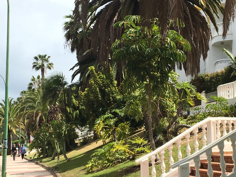 Sonstiges BLUESEA Costa Jardin Spa