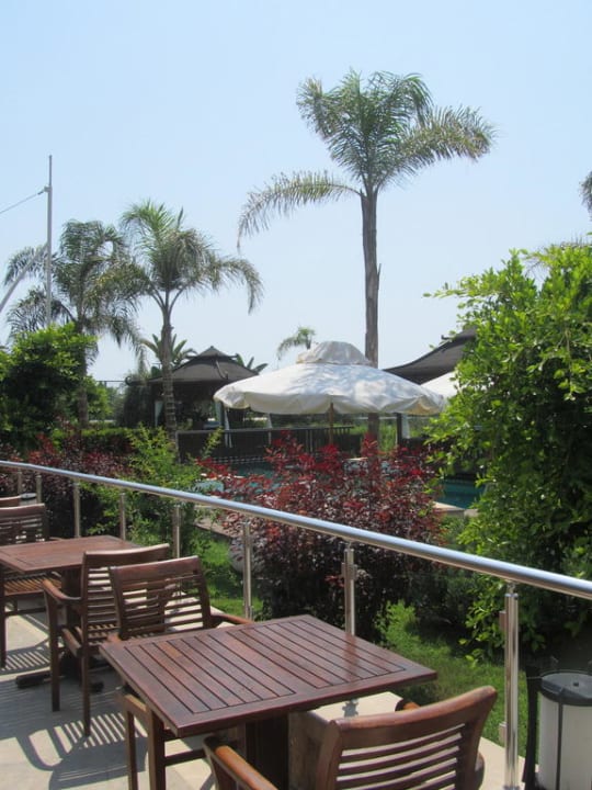 Wellness Pool Crystal Family Comfort Collection